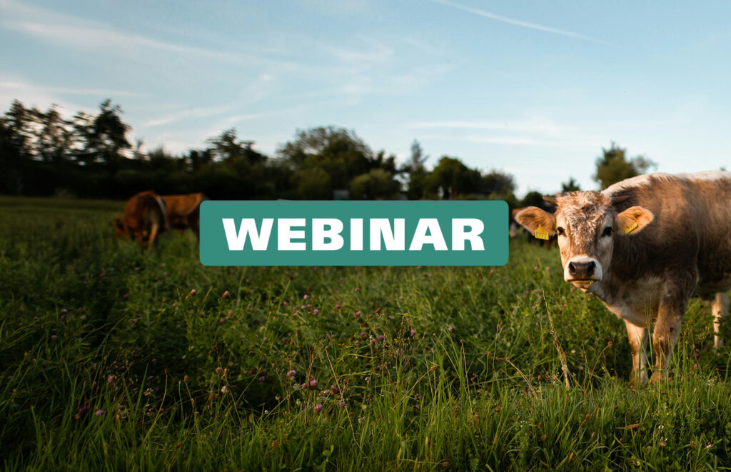 La dinámica de la población bovina del Paraguay, eje de un nuevo webinar de Alumni