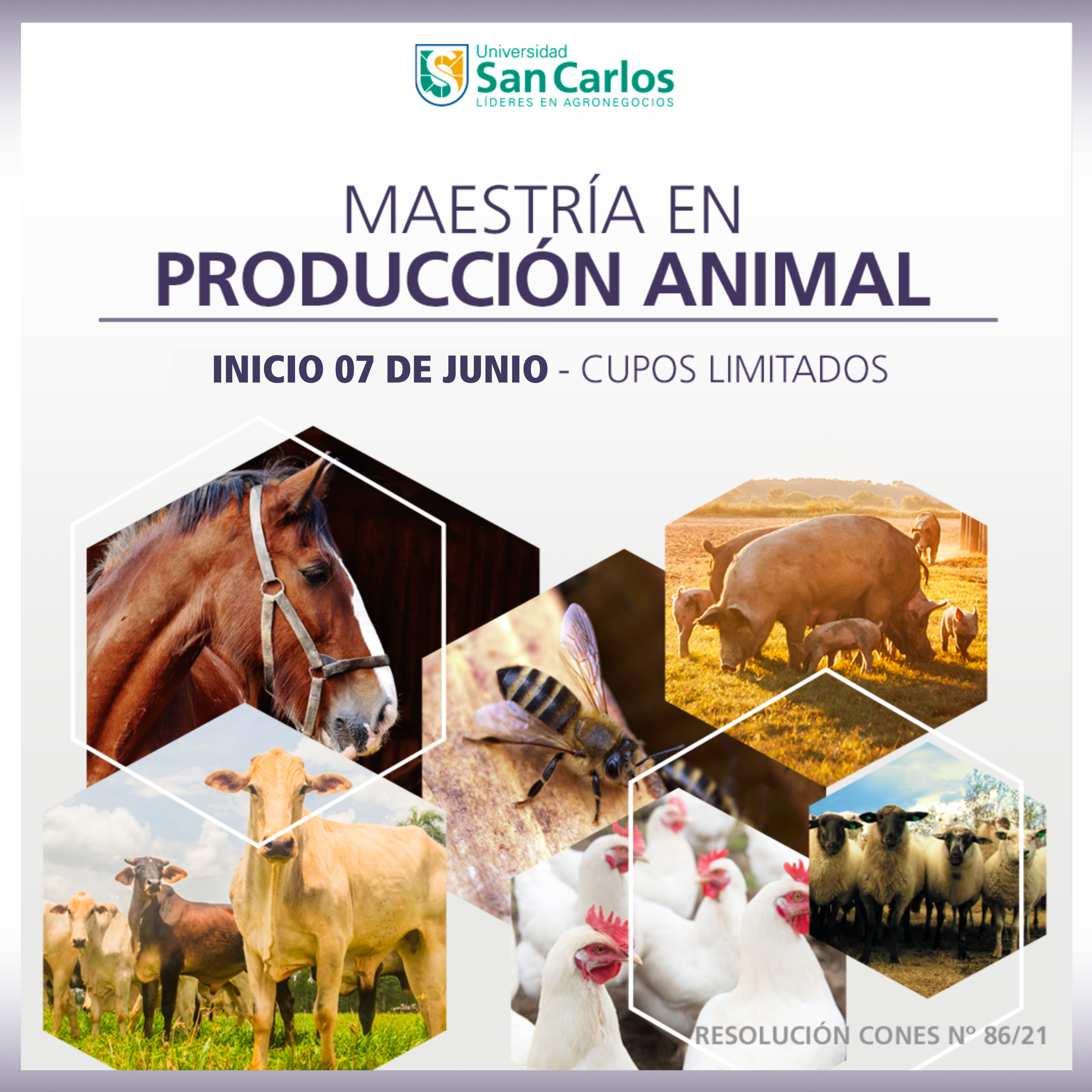 Maestría en Producción Animal