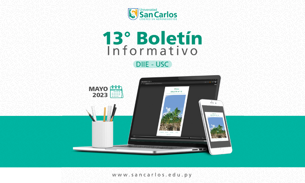 Boletín Informativo Nro. 13