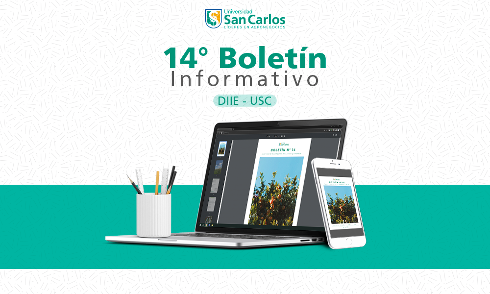 Boletín Informativo Nro. 13