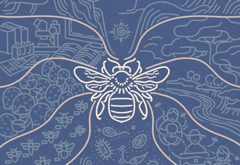 Egresada de la Universidad San Carlos publica investigación académica en revista internacional